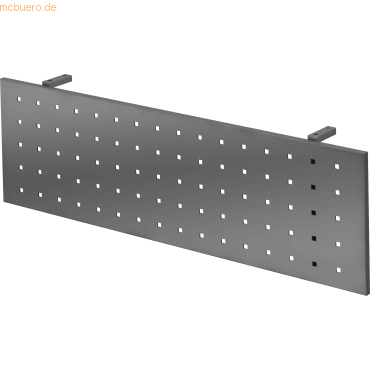 4032062167908 - PRO RSI 12 G Sichtblende zu REGO - Zubehör 120 cm Graphit