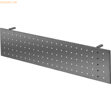 4032062167915 - PRO RSI 16 G Sichtblende zu REGO - Zubehör 160 cm Graphit