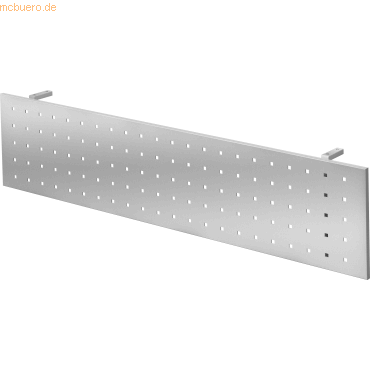 4032062155820 - PRO RSI 16 S Sichtblende zu REGO - Zubehör Silber 160 cm