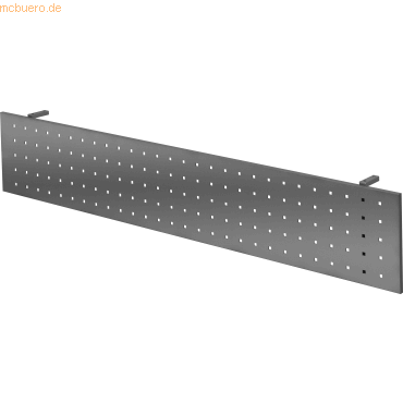 4032062167939 - PRO RSI 20 G Sichtblende zu REGO - Zubehör 200 cm Graphit