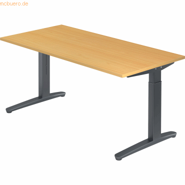 4032062172452 - PRO XTRA XB 16 GG Schreibtisch - Buche 160 x 80 höhenverstellbar