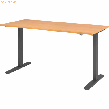 4032062185674 - Sitz-Steh-Schreibtisch VXMKA19 6 G elektrisch höhenverstellbar 70-120cm (H) 180x80cm (BxT) rechteckig buche   graphit 403206