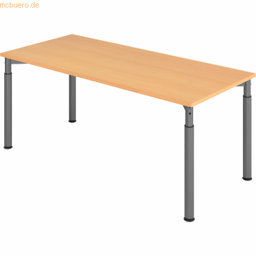 4032062183915 - HAMMERBACHER YS19 höhenverstellbarer Schreibtisch buche rechteckig 4-Fuß-Gestell grau 1800 x 800 cm