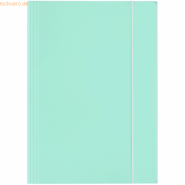 4014481223540 - 30 x Sammelmappe PastellColor Karton glanzkaschiert A4 Minzgrün 4014481223540 - 30 x Sammelmappe PastellColor Karton glanzkaschiert A4 Minzgrün