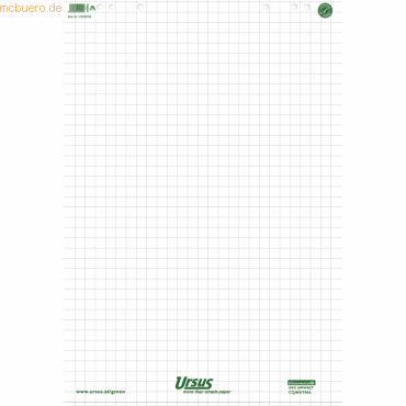 9002244852477 - Ursus GREEN Flipchart-Papier 68 x 99cm 20 Blatt 80 g m2 Kariert Weiß 5 Stück à 20 Blatt