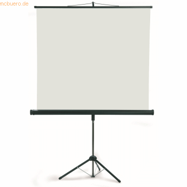 Franken Stativleinwand X-tra! Line 150x150 cm Typ D