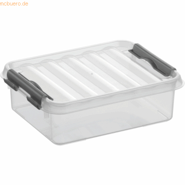 Sunware Aufbewahrungsbox mit Deckel 1 Liter Kunststoff 150x60x200mm tr