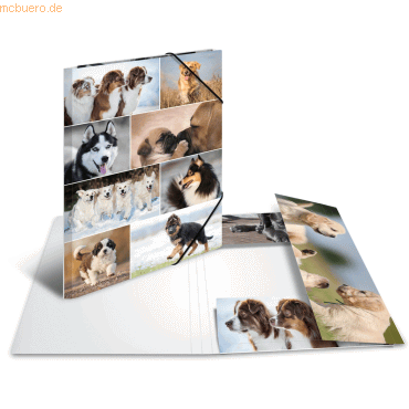 4008705192187 - Eckspannermappe Hunde aus Karton DIN A3 4008705192187 - Eckspannermappe Hunde aus Karton DIN A3