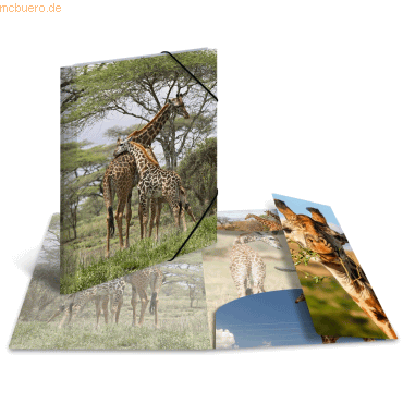 4008705193320 - 3 x HERMA Sammelmappe Glossy Tiere A3 PP Giraffe