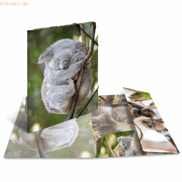 4008705193337 - 3 x HERMA Sammelmappe Glossy Tiere A3 PP Koala 4008705193337 - 3 x HERMA Sammelmappe Glossy Tiere A3 PP Koala