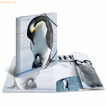 4008705193351 - 3 x HERMA Sammelmappe Glossy Tiere A3 PP Pinguine 4008705193351 - 3 x HERMA Sammelmappe Glossy Tiere A3 PP Pinguine