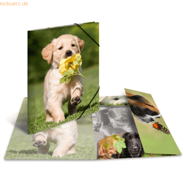 4008705193368 - 3 x HERMA Sammelmappe Glossy Tiere A3 PP Hunde 4008705193368 - 3 x HERMA Sammelmappe Glossy Tiere A3 PP Hunde
