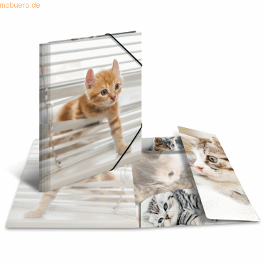 4008705193375 - 3 x HERMA Sammelmappe Glossy Tiere A3 PP Katzen 4008705193375 - 3 x HERMA Sammelmappe Glossy Tiere A3 PP Katzen