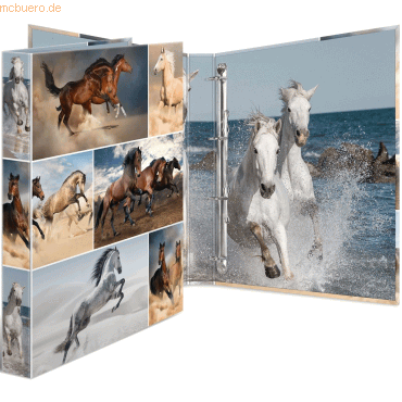 4008705193603 - HERMA 19360 - Conventional file folder - Pappe - Mehrfarben - A4 - Porträt - 35 cm (19360)