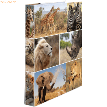 4008705194761 - 3 x HERMA Ringbuch A4 Karton 2 Ringe Afrika Tiere