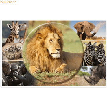 4008705196765 - Schreibunterlage Afrika Tiere (B)550 x (H)350 mm