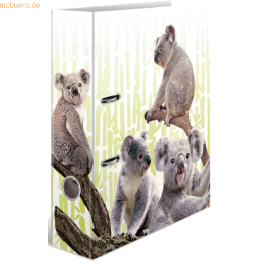 10 x HERMA Motivordner A4 70mm Exotische Tiere Koalafamilie