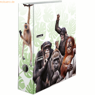 10 x HERMA Motivordner A4 70mm Exotische Tiere Affenbande
