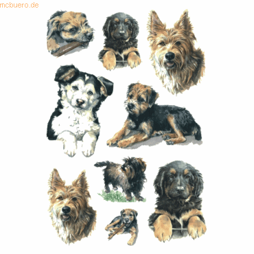 4008705033411 - 10 x HERMA Schmucketiketten Decor Hunde VE=3 Blatt 4008705033411 - 10 x HERMA Schmucketiketten Decor Hunde VE=3 Blatt