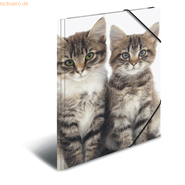 4008705071437 - Eckspannmappe Sammelmappe 7143 A3 Motiv Katzen Polypropylen (PP) mit 3 Einschlagklappen 4008705071437 3 Stück