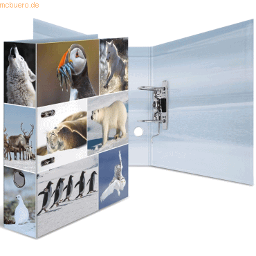 10 x HERMA Motivordner A4 Animals Eiswelten