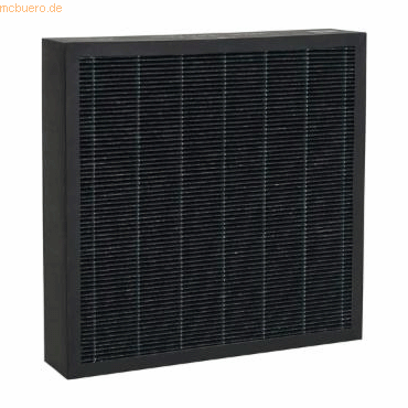 4019364987137 - True HEPA Filter 8710013 für Luftreiniger AP100