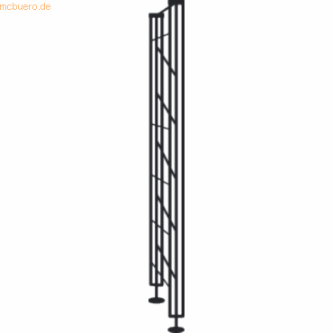 4044917000308 - Bibliotheks-Regal libra Abschlussrahmen TxH 25x230cm schwarz 