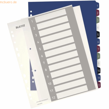 10 x Leitz Plastikregister Style 1-12 bedruckbar A4 PP 12 Blatt farbig