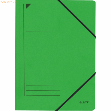 Leitz Eckspanner A4 für ca. 250 Blatt grün
