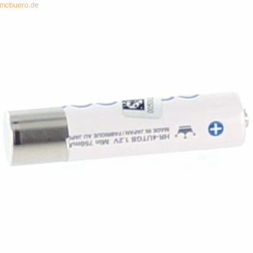 4059612323409 - Akku für Panasonic HHR-4AGE NiMH 2x12 Volt 750 mAh weiß 4059612323409 - Akku für Panasonic HHR-4AGE NiMH 2x12 Volt 750 mAh weiß