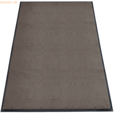 4260698253676 - Schmutzfangmatte Eazycare Style 120x240cm A27 Mole