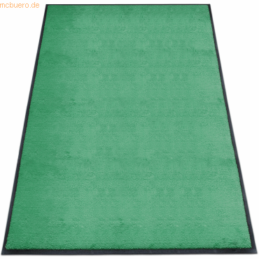 4260698254222 - Schmutzfangmatte Eazycare Style 150x200cm A39 Summer Leaf