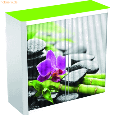 easyOffice Rollladenschrank easyoffice BxTxH 86x37,5x104cm Orchidee