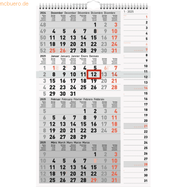 3 x Rido 4-Monatskalender Kombi 30x49cm 2025