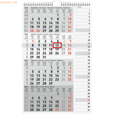 4003273791169 - 3 x 4-Monatskalender Kombi 30x49cm 2026 4003273791169 - 3 x 4-Monatskalender Kombi 30x49cm 2026