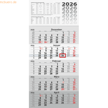 4003273791183 - 5-Monatskalender Wandkalender 30x63cm einteilig 2026 4003273791183 - 5-Monatskalender Wandkalender 30x63cm einteilig 2026