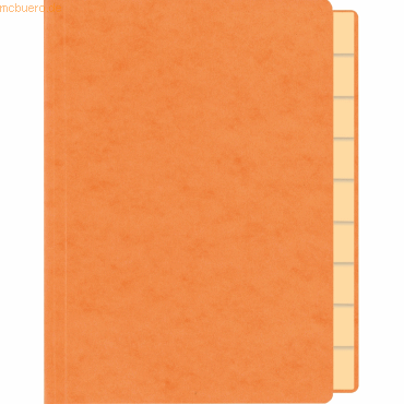 RNK Briefmarkenmappe A5 orange 10 Fächer