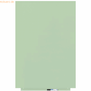 8427951020901 - Skinwhiteboard-Modul lackiert 75x115cm RAL 6019 weißgrün