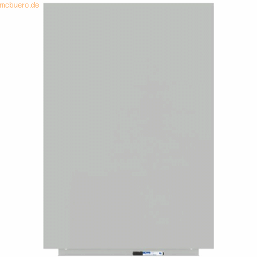 8427951764201 - Skinwhiteboard-Modul lackiert 75x115cm RAL 7035 lichtgrau