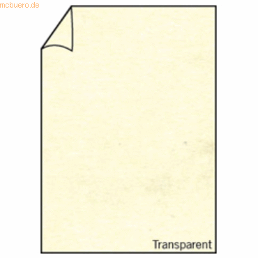 4014969185445 - 100 x Briefpapier A4 100g qm Transparent Marmora