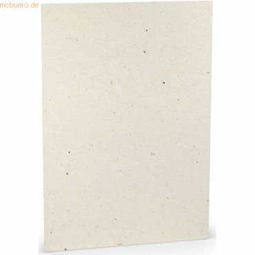 4014970245640 - 100 x Briefpapier A4 100g qm Terra Vanilla