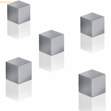 4004360800634 - Magnet C5 Strong (L x B x H) 10 x 10 x 10 mm quadratisch Silber Grau 5 St BA728