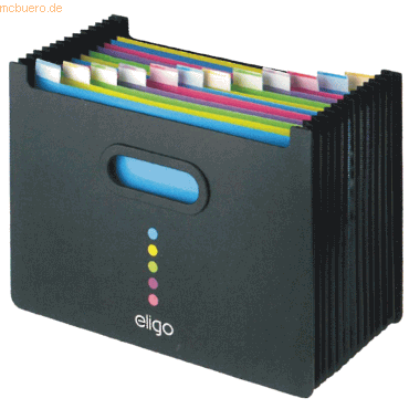 Snopake Stehsammler Eligo A4 Querformat mit 13 Unterteilungen schwarz