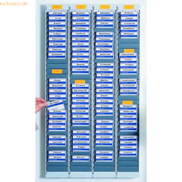 4024158031897 - Chipkartentafel A mit 25mm Sichtbereich H1090xB115xT21mm anth