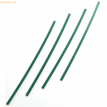 4024158014258 - Magnetisches Band 250x5mm VE=4 Stück moos