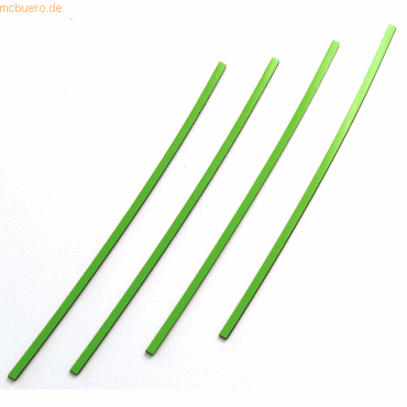 4024158015729 - Magnetische Abschnitte 50x9x2mm VE=16 Stück hellgrün 4024158015729 - Magnetische Abschnitte 50x9x2mm VE=16 Stück hellgrün