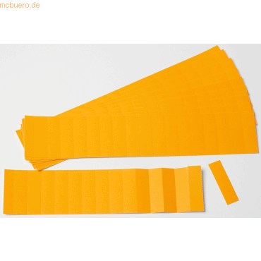4024158017327 - Einsteckkarten für 20mm Einsteckschiene 60x17mm VE=170 Stück