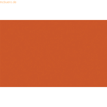 4008525508076 - 10 x Plakatkarton 380g qm 68x96cm orange