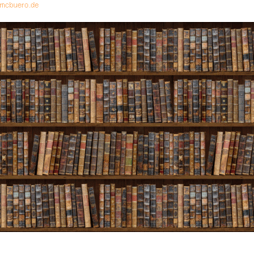 4008525168799 - 10 x Motiv-Fotokarton 300g qm 495x68cm Bibliothek