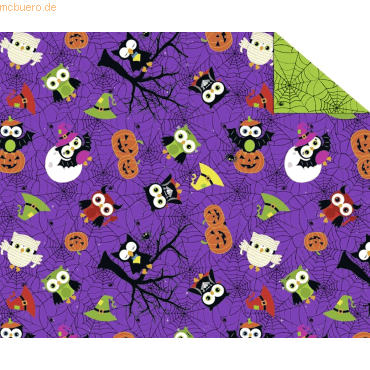 4008525181378 - 10 x Fotokarton Halloween 300 g qm 495x68cm Motiv 02